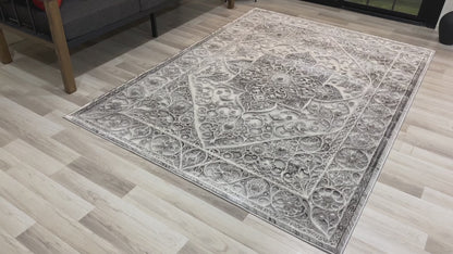 Modern Traditional Area Rug. Artificial Intelligence Design with 3D Affect Rt8405