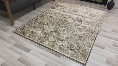 Modern Traditional Area Rug. Artificial Intelligence Design with 3D Affect Rt8405